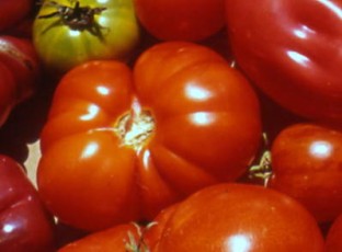 paradeis maribor-fleisch