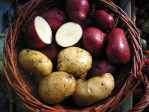 Erdapfel-Sorten, Solanum tuberosum