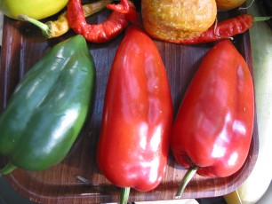 Paprika Montenegro, Capsicum annuum