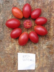 Obsttomate: Rosa Früchtchen
