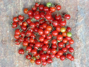 Obsttomate: Rote Ribisel