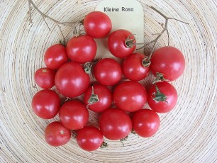Obsttomate: Kleine Rosa (Himbeerose)