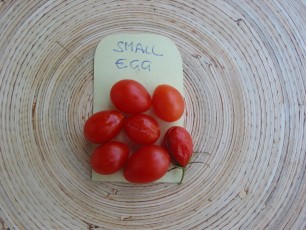 Obsttomate: Small Egg