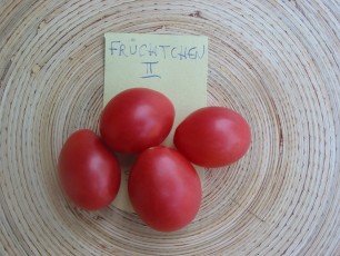 Obsttomate: Früchtchen rosa
