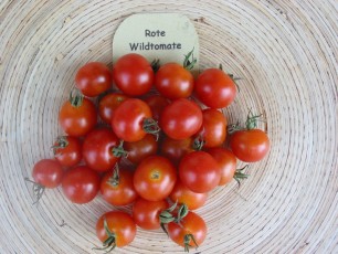 Obsttomate: Rote Wildtomate