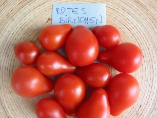 Obsttomatn: Rotes Birnchen