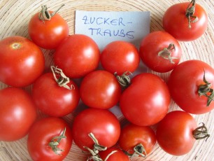 Obsttomate: Zuckertomate