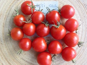 Obsttomate: Resi Gold