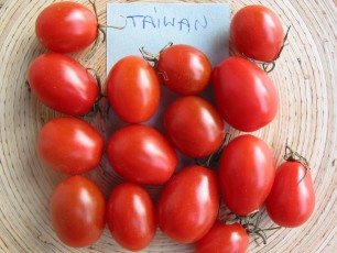 Obsttomate: Taiwan