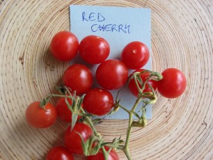 Obsttomate: Red Cherry