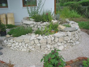 Kräuteranbau Steyr_IMG