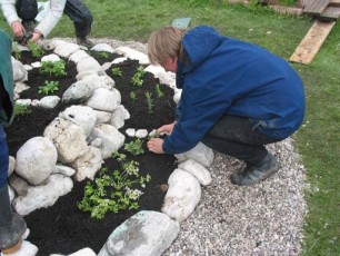 Kräuterspiralenbau1