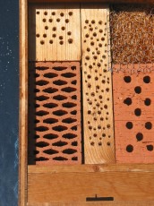 Nisthilf+Weiden Stainz 2_IMG