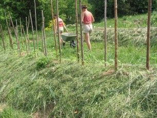 SV-Garten Stainz April_IMG