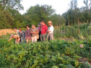 SV-Landw Stainz 2_IMG