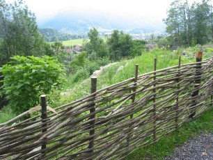 Zaun2
