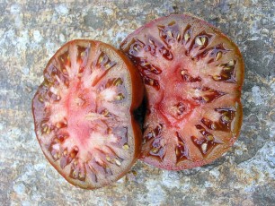 Salattomate: Schwarzer Nickl