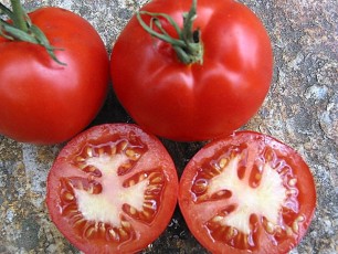 Salattomate: Zagreb Salat