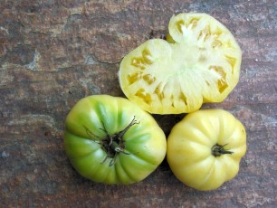 Salattomate: Gelbe Rose