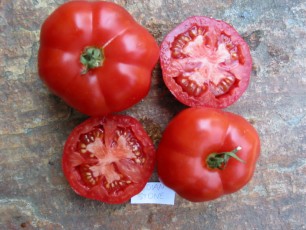 Salattomate: Indian Stone