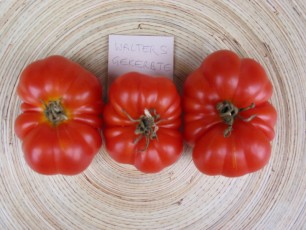 Salattomate: Walters Salat