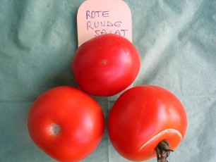 Salattomate: Rote runde Salat
