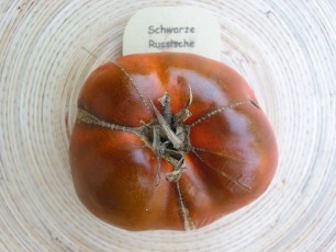 Salattomate: Schwarze Russische