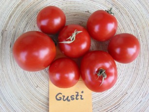 Salattomate: Gusti