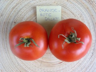 Salattomate: Orangerote Salat