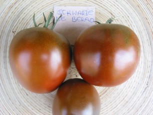 Salattomate: Schwarze De Berao
