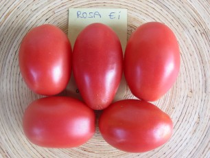 Salattomate: Rosa Ei von Martin