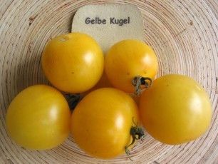 Salattomate: Gelbe Kugel
