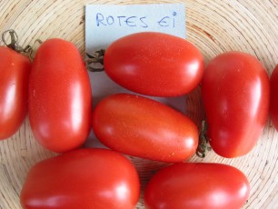 Salattomate: Rotes Ei