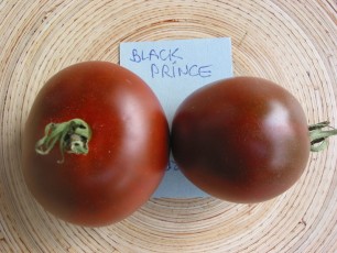 Salattomate: Black Prince