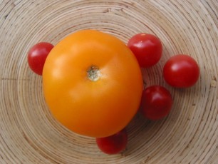 Salattomate: Caro Rich