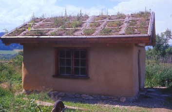 Fetthennenmischung auf Gründach